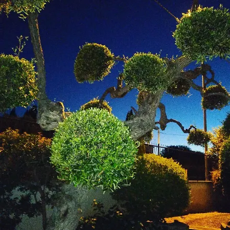 Nocleg ze śniadaniem Lucia 3*